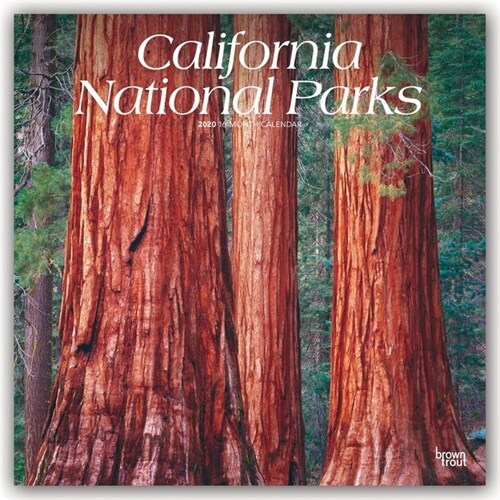 California National Parks 2020 Square (Other)