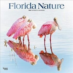 Florida Nature 2020 Square Foil (Other)