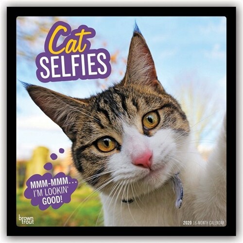 Cat Selfies 2020 Square (Other)