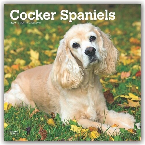 Cocker Spaniels 2020 Square (Other)