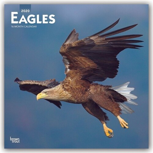 Eagles 2020 Square (Other)