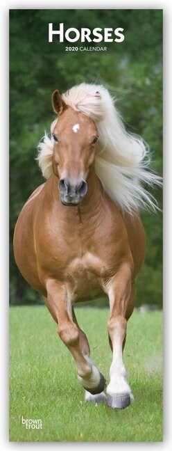 Horses 2020 Slim Calendar (Calendar)