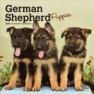 German Shepherd Puppies 2020 Calendar (Calendar, Mini)