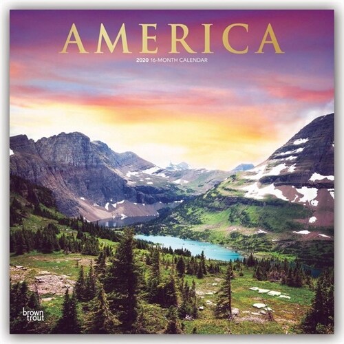 America 2020 Square Foil (Other)