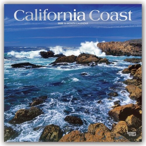 California Coast 2020 Square Foil (Other)