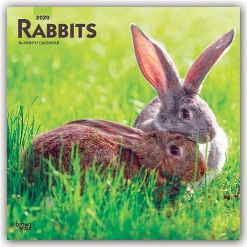 Rabbits 2020 Square (Other)