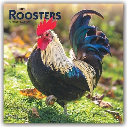 Roosters 2020 Square (Other)