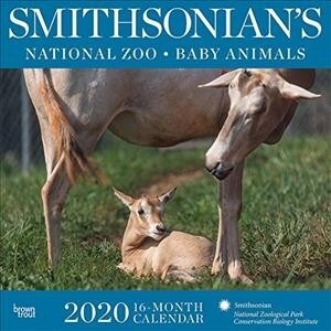 Smithsonian National Zoo 2020 Square Hachette (Other)