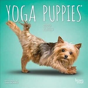 Yoga Puppies 2020 Mini 7x7 (Other)