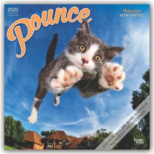 Pounce 2020 Square (Other)