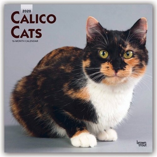 Calico Cats 2020 Square (Other)