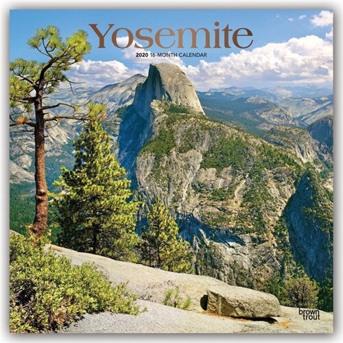 Yosemite 2020 Square Foil (Other)