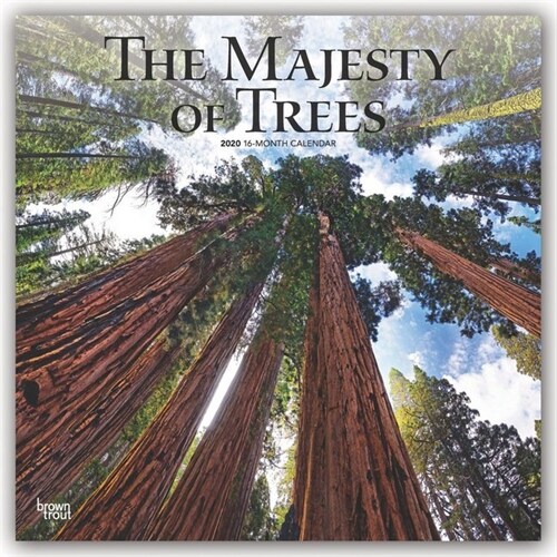 Majesty of Trees, the 2020 Square (Other)
