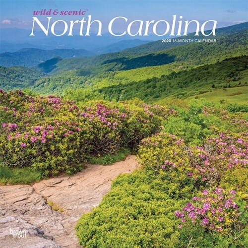 North Carolina Wild & Scenic 2020 Square (Other)