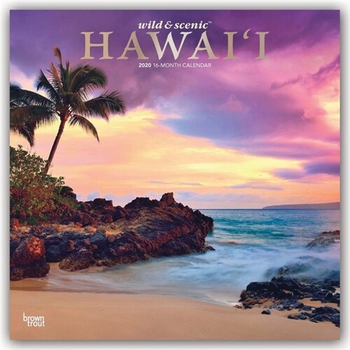 Hawaii Wild & Scenic 2020 Square Foil (Other)