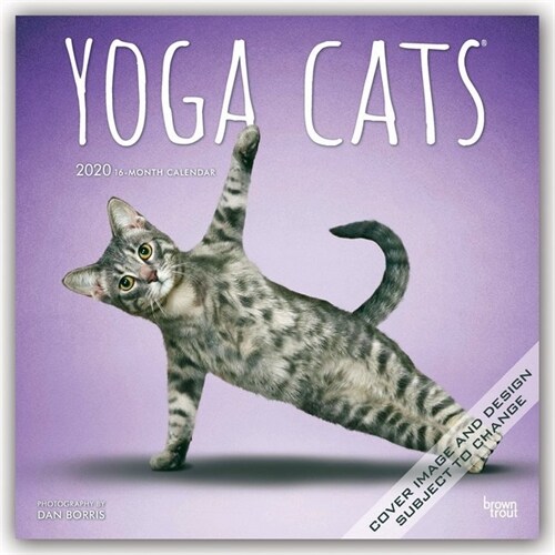 Yoga Cats 2020 Square (Other)