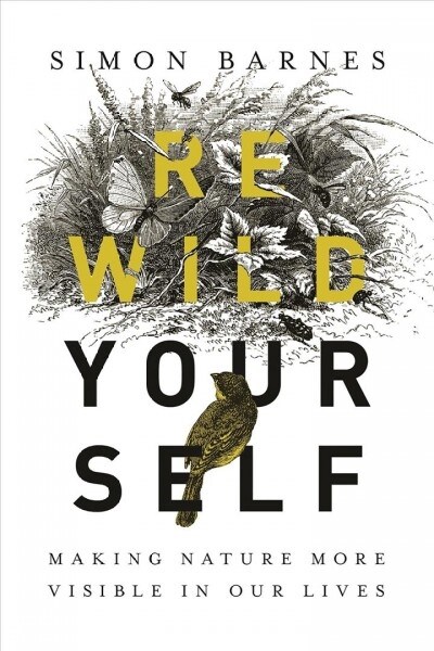 Rewild Yourself: Making Nature More Visible in Our Lives (Hardcover)