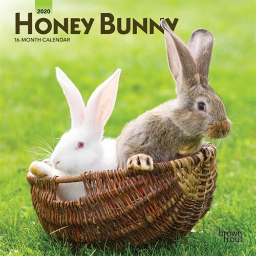 Honey Bunny 2020 Mini 7x7 (Other)