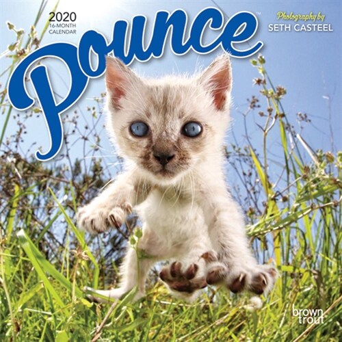 Pounce 2020 Mini 7x7 (Other)