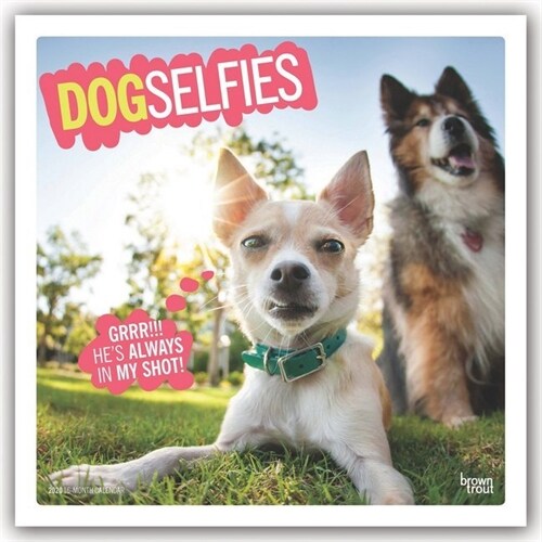 Dog Selfies 2020 Square (Other)