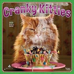 Avanti Cranky Kitties 2020 Square Foil (Other)