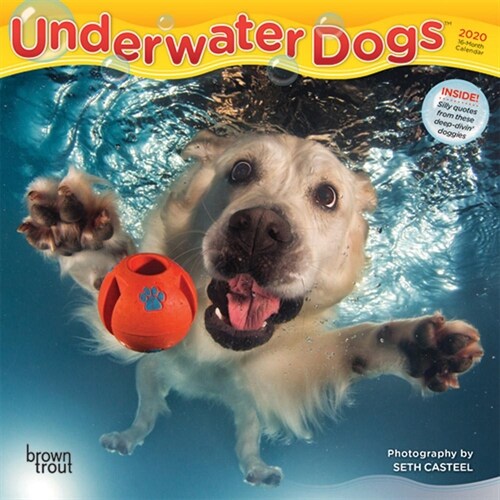 Underwater Dogs 2020 Mini 7x7 (Other)