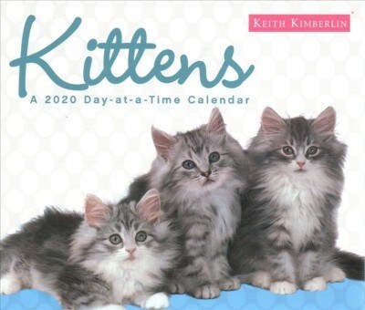 Keith Kimberlin Kittens 2020 Calendar (Calendar, BOX, Page-A-Day )