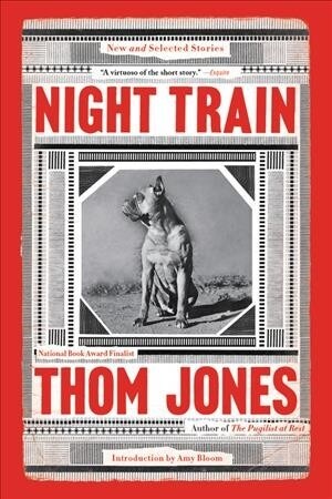 Night Train: New and Selected Stories (Paperback)