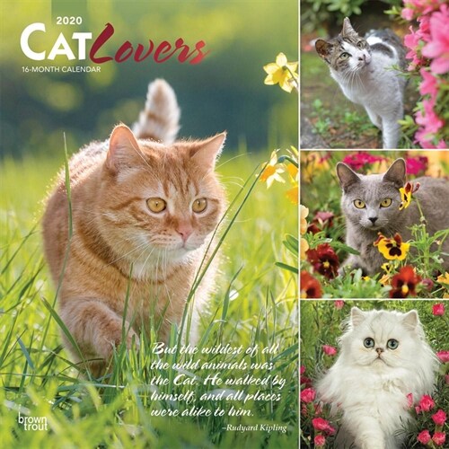 Cat Lovers 2020 Square Foil (Other)