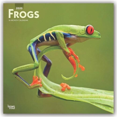 Frogs 2020 Square (Other)