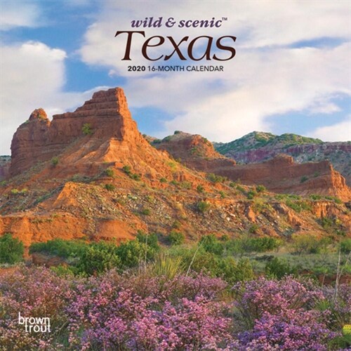 Texas Wild & Scenic 2020 Mini 7x7 (Other)