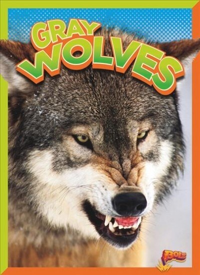 Gray Wolves (Paperback)