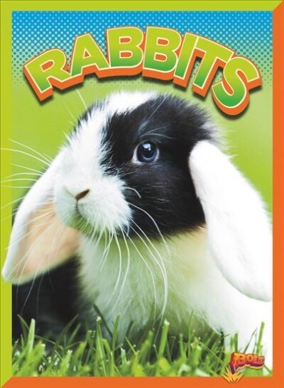 Rabbits (Paperback)