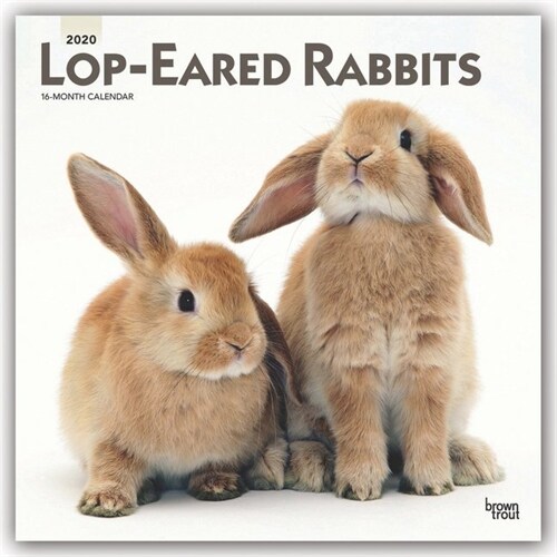 Lop Eared Rabbits 2020 Square (Other)