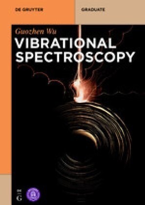 Vibrational Spectroscopy (Paperback)