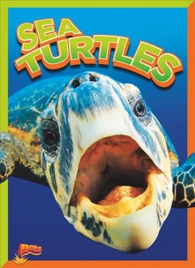 Sea Turtles (Paperback)