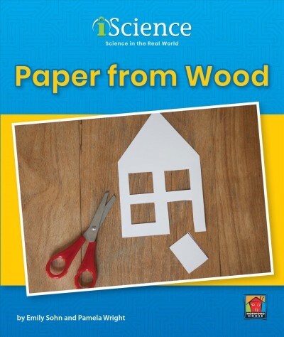 Paper from Wood (Paperback, Revised)