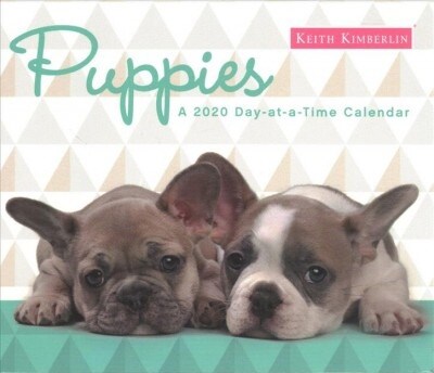 Keith Kimberlin Puppies 2020 Calendar (Calendar, BOX, Page-A-Day )