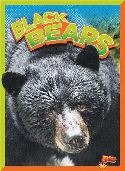 Black Bears (Paperback)