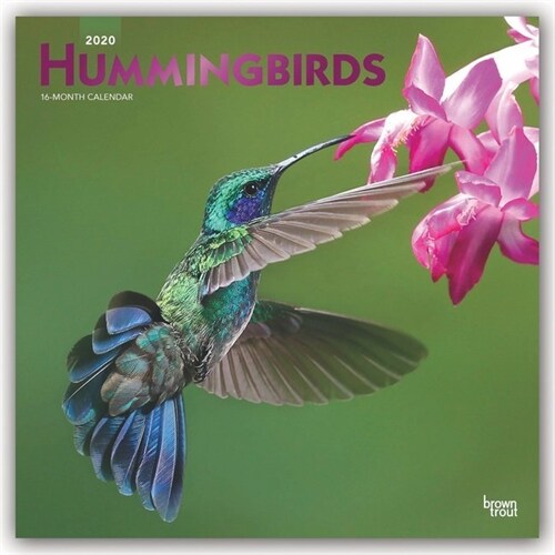 Hummingbirds 2020 Square Foil (Other)