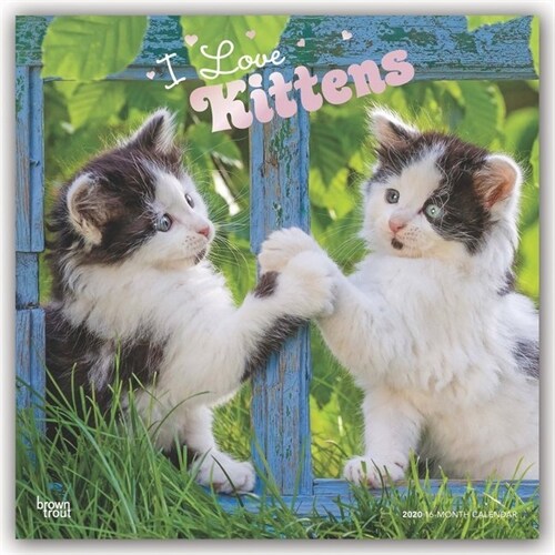 Kittens, I Love 2020 Square Foil (Other)