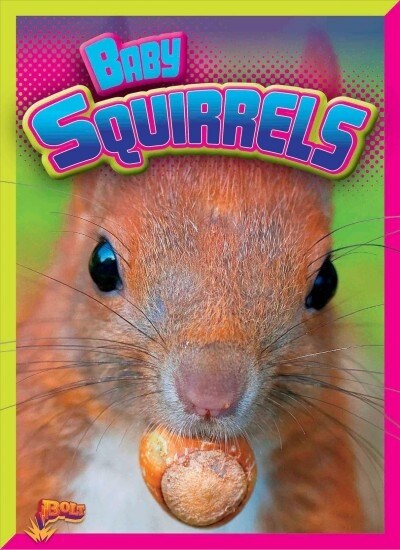 Baby Squirrels (Paperback)
