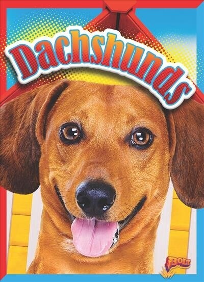 Dachshunds (Paperback)