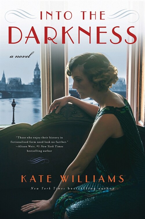 Into the Darkness (Paperback)