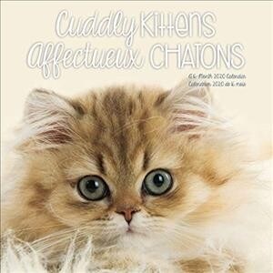 Cuddly Kittens 2020 Calendar (Calendar, Mini, Bilingual)