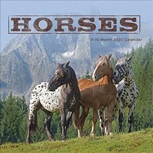 Horses 2020 Calendar (Calendar, Mini)
