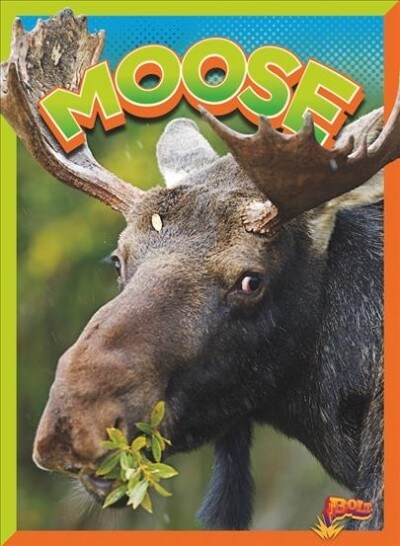 Moose (Paperback)