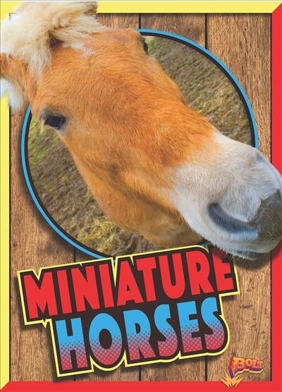 Miniature Horses (Paperback)