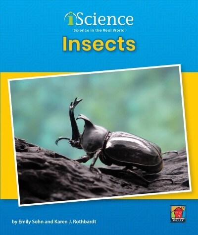 Insects (Paperback, Revised)