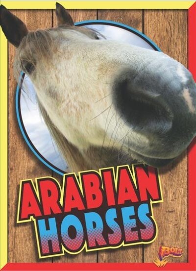 Arabian Horses (Paperback)